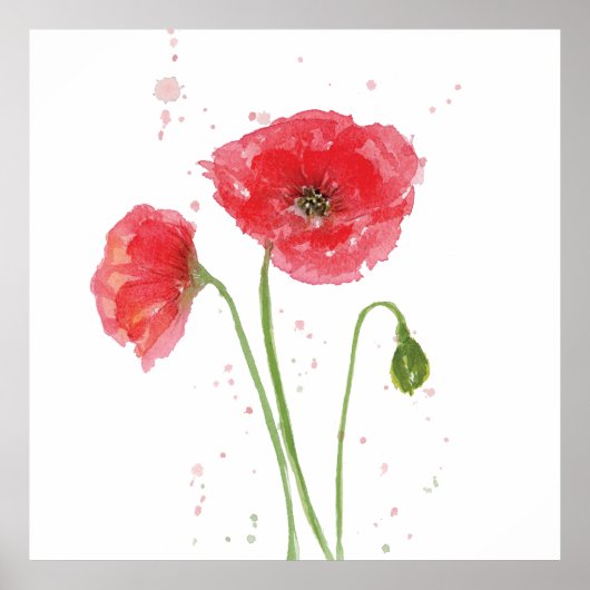 Poster Poppies de printemps (Devant)