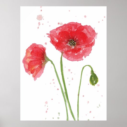 Poster Poppies de printemps (Devant)