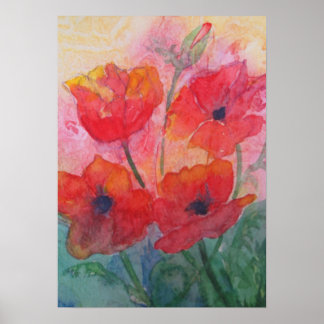 Poster Poppies de printemps