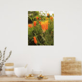 Poster Poppies d'or (Cuisine)