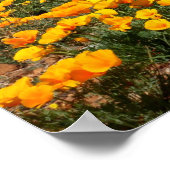 Poster Poppies El Paso (Coin)