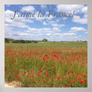 Poster Poppies françaises dans le sud de la France