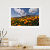 Poster Poppies mexicaines - Franklin Mountian State Park (Cuisine)