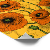 Poster Poppies orange (Coin)