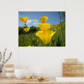 Poster POPPIES Orange Fleurs de pavot Imprimantes d'art e (Cuisine)