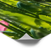 Poster Poppies roses (Coin)