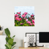 Poster Poppies roses (Bureau à domicile)