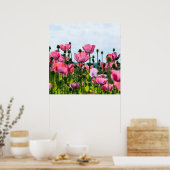 Poster Poppies roses (Cuisine)