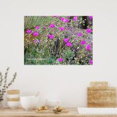 Poster Poppies roses (Cuisine)