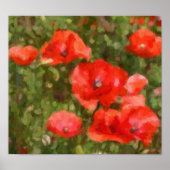 Poster Poppies rouges (Devant)