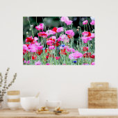Poster Poppies rouges et roses (Cuisine)