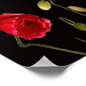 Poster Poppies Rouges Vibrantes Sur Noir (Coin)