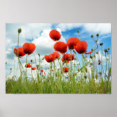 Poster Poppy (Devant)