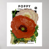 Poster Poppy (Devant)