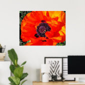 Poster Poppy californien (Bureau à domicile)