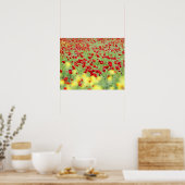 Poster Poppy Field, Sienne, Italie (Cuisine)
