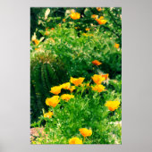 Poster popzzz (Devant)