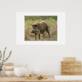 Poster Porc Brown. (Cuisine)