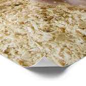 Poster Porc endormi (Coin)