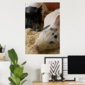 Poster Porc endormi (Bureau à domicile)