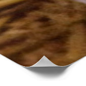 Poster porcelet doux (Coin)