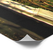 Poster Porch Peekaboo (Coin)