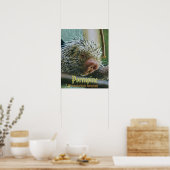 Poster Porcupine 2 (Cuisine)