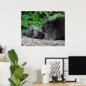 Poster Porcupine - maman et bébé (Bureau à domicile)