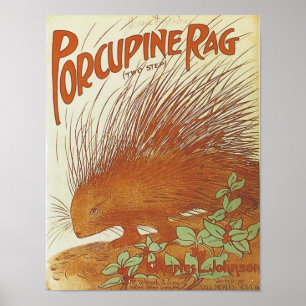Poster Porcupine Sag Vintage Songbook Couverture