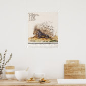 Poster Porcupine vintage (Cuisine)