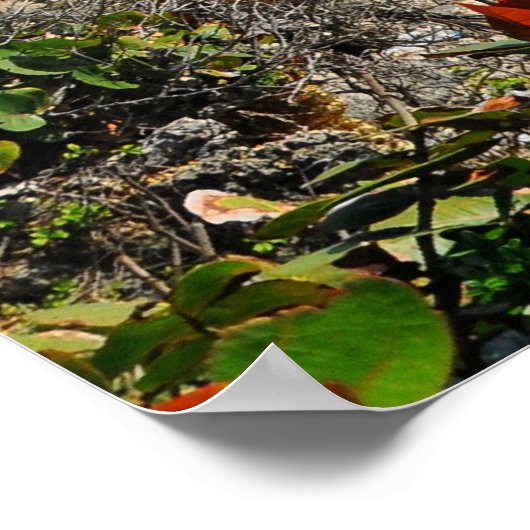 Poster Port Antonio Jamaïque (Coin)