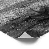 Poster Port, Concarneau (Coin)