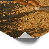 Poster Port-Cros (Coin)
