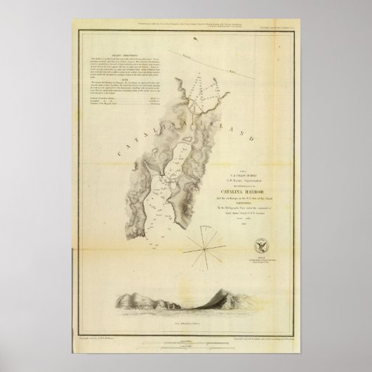 Poster Port de Catalina (Devant)