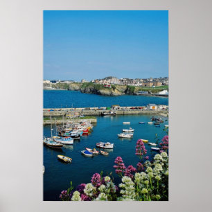 Poster Port rouge de Newquay, les Cornouailles, fleurs