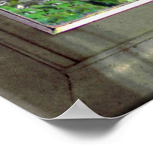 Poster Portable Window (Coin)