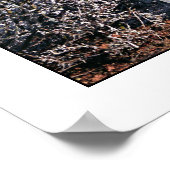 Poster Portail de Winter Wonderland (Coin)
