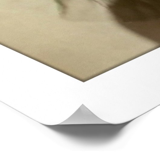 Poster porte-col (Coin)