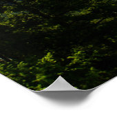 Poster Porte d'argent Montana (Coin)