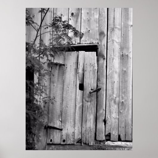 Poster Porte de grange avec arbre (Devant)