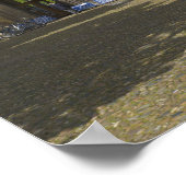 Poster Porte du Trinity College et rangées de bicyclettes (Coin)