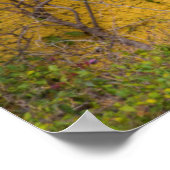 Poster Porte en bois (Coin)