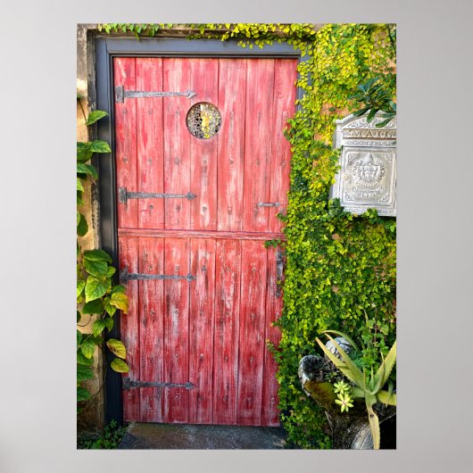 Poster Porte en bois rose Plante St Augustine Floride Pho (Devant)