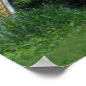 Poster Porte laotienne (Coin)