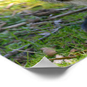 Poster Porte-monnaie à cou rouge et sa carte postale joye (Coin)