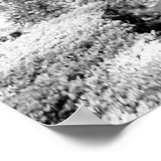 Poster Porte rustique (Coin)