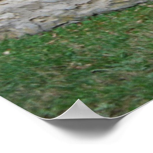 Poster Porte Rustique Flint Hills (Coin)