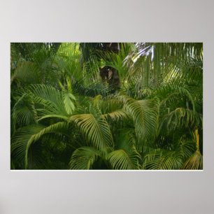 Poster Portée douce
