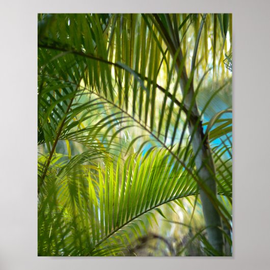 Poster Portée douce (Devant)