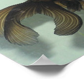 Poster Portefeuille de poisson rouge noir (Coin)